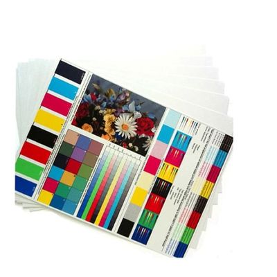 quality  250micron A4 Size Waterproof Inkjet PVC Sheet for Plastic Cards and ID Printing factory