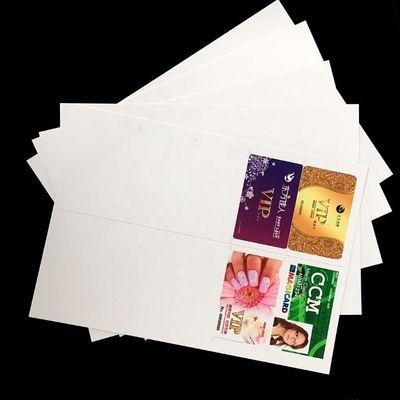 Feuille numérique PVC couleur personnalisée 0,31 mm d'épaisseur imperméable pour une reproduction des couleurs vives en impression