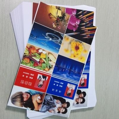 Feuille numérique PVC couleur personnalisée 0,31 mm d'épaisseur imperméable pour une reproduction des couleurs vives en impression